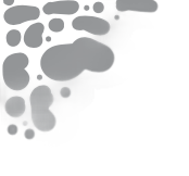 Rocks